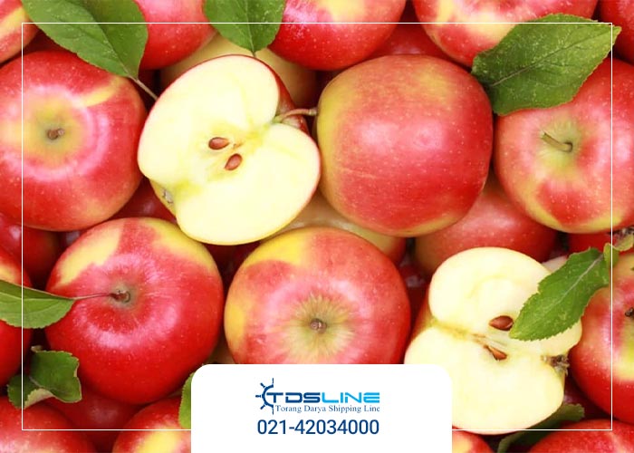 استانداردها و مقررات صادرات سیب و کیوی استانداردها و مقررات صادرات سیب و کیوی