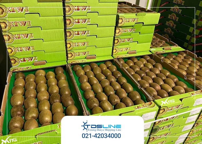 استفاده از کانتینر یخچالی در صادرات سیب و کیوی استفاده از کانتینر یخچالی در صادرات سیب و کیوی